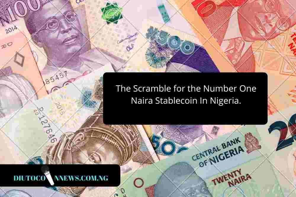 The Scramble for the Number One Naira Stablecoin in Nigeria