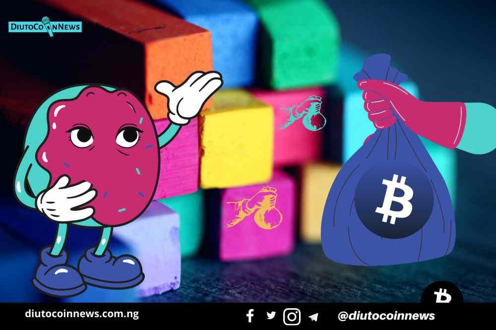 Crypto Investors In Africa Are Interested In The Education Of Their Children.