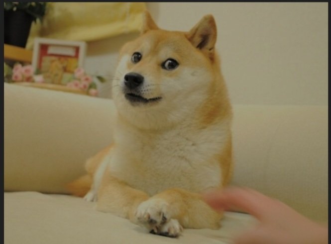 Most Expensive Doge Meme Sold For $4 Million As A Non-Fungible Token On Zora Marketplace