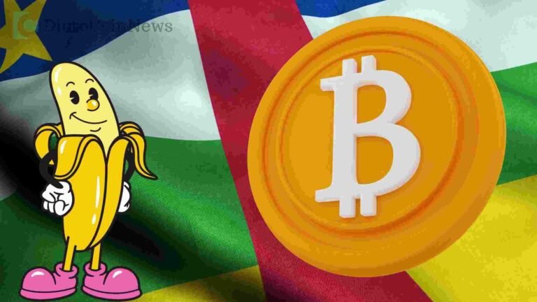Regulations: South African Crypto Regulators Will Start Issuing out first Set Of Licenses
