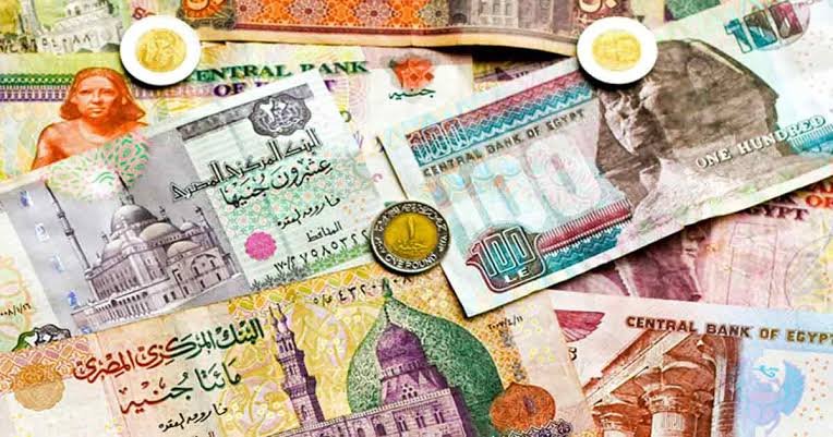 Egyptian Pounds Continue To Fall In Spite Of Flexible Forex Regime.